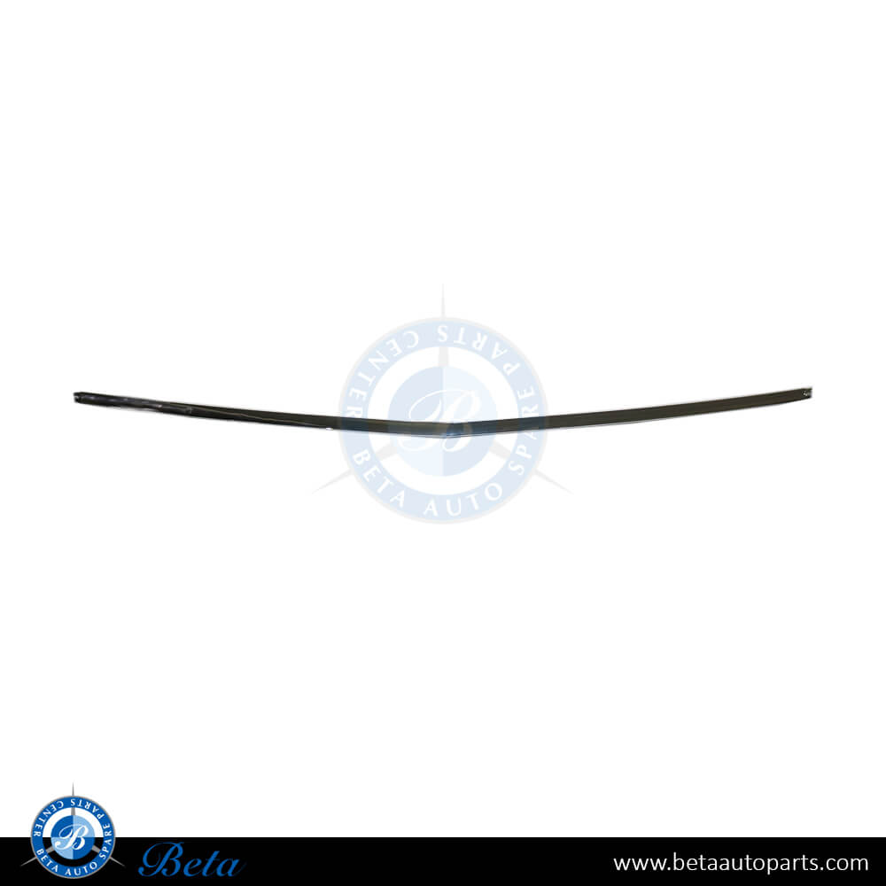 Front Bumper Chrome Moulding for Mercedes S-Class W222 2009-2013 models, Part Number 2218850021 Front Bumper Chrome Moulding for Mercedes S-Class W222 2009-2013 models, Part Number 2218850021